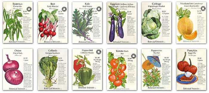 Botanical Interests, demonstrating illustration can prove far more eloquent than the literalness of a photograph Botanical Interests, demonstrating illustration can prove far more eloquent than the literalness of a photograph