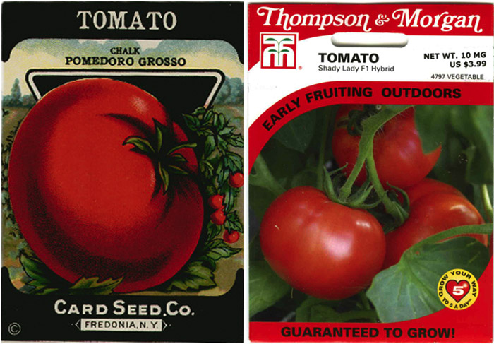 Rich illustration adorns this tomato seed package from the 1920s (left); Illustration is replaced by uninspired photography decades later (right)
